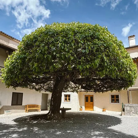 Prosciutto Kingdom - Kraljestvo Prsuta By Prsutarna Scuka Lejlighed